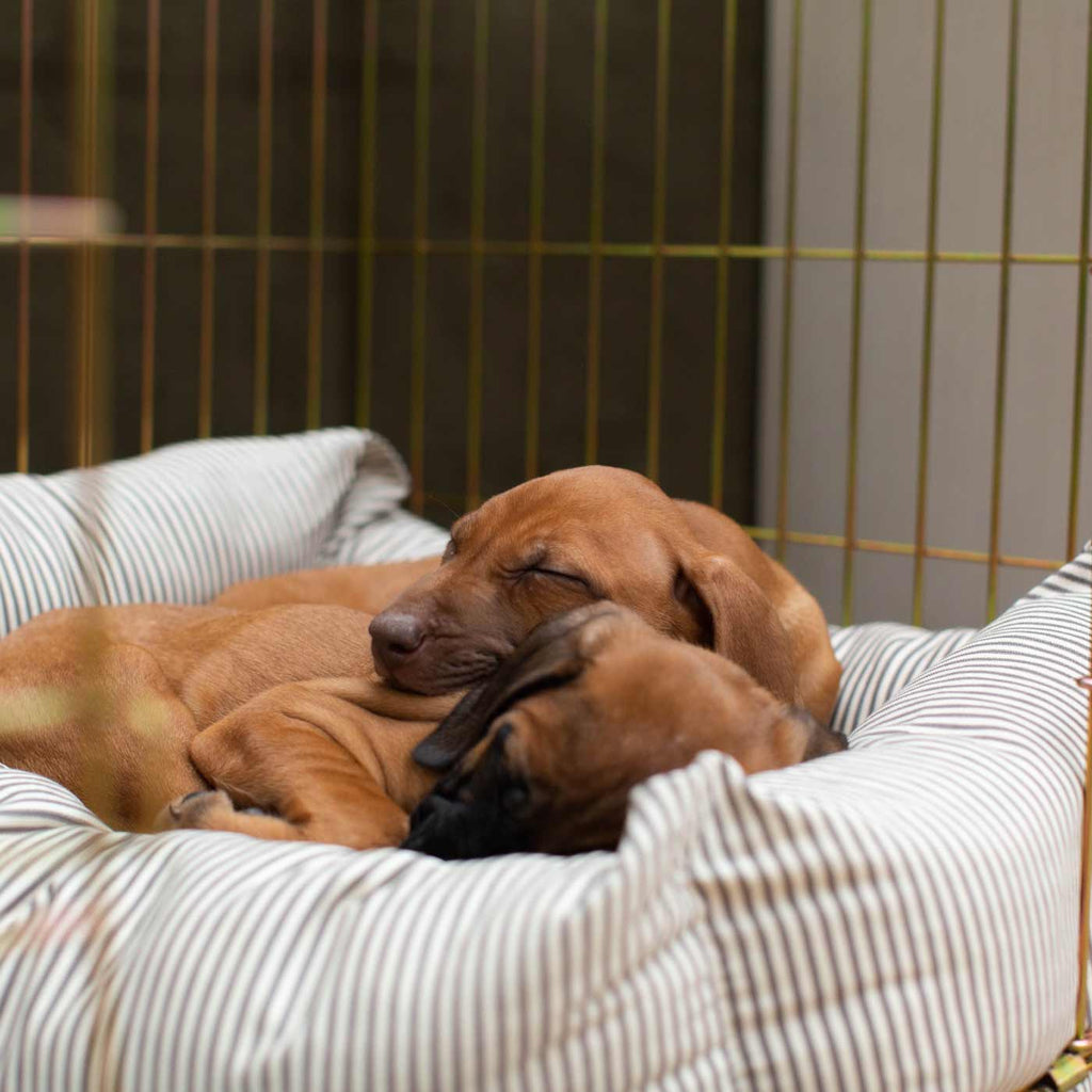 Cozy & Calming Puppy Cage Bed in Spots & Stripes