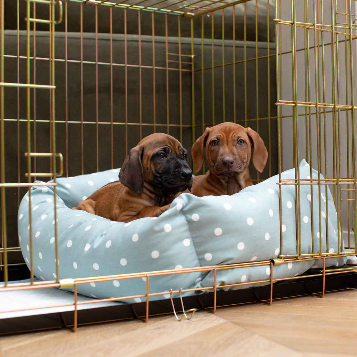 Cozy & Calming Puppy Cage Bed in Spots & Stripes