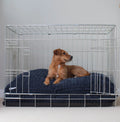 Dog Cushion in Navy Essentials