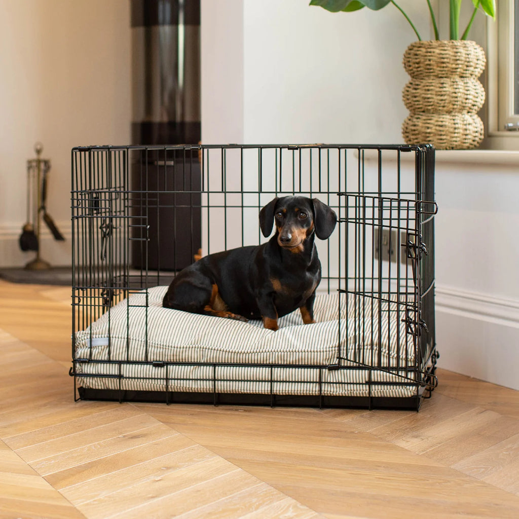 Dog Cushion in Regency Stripe
