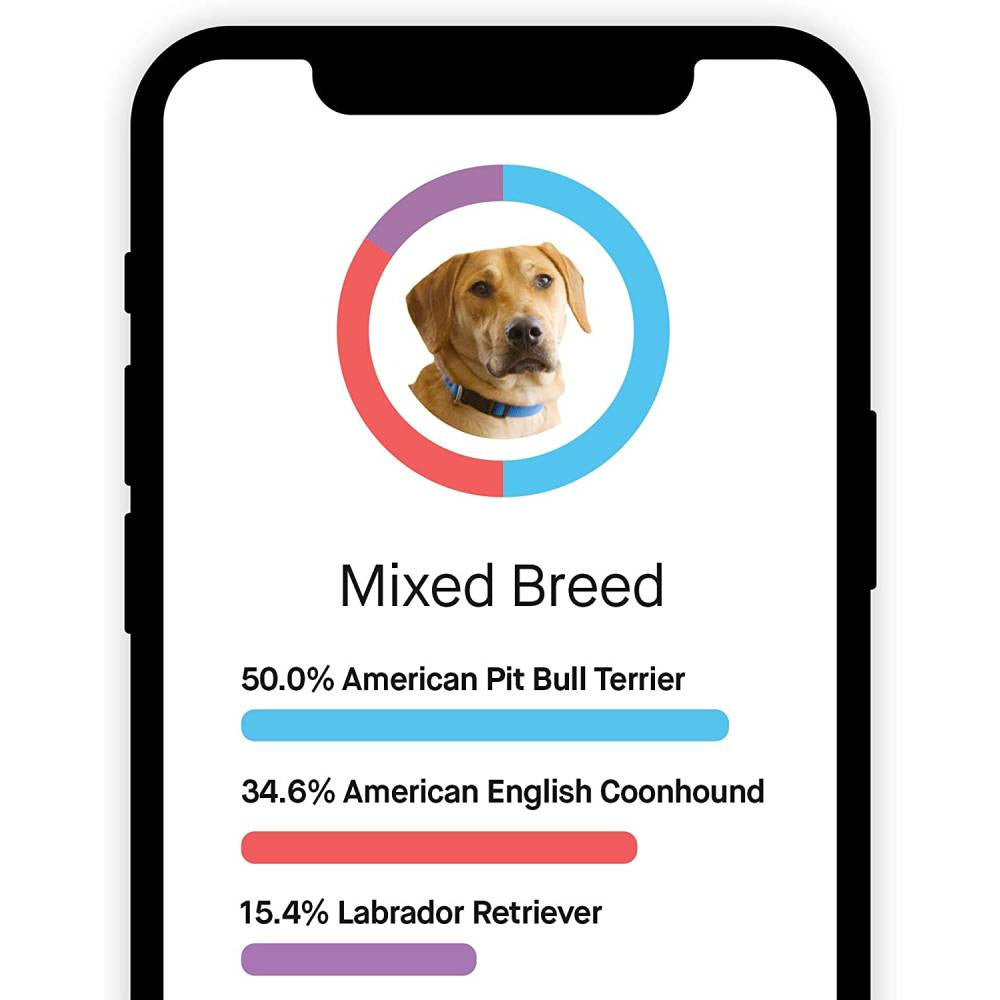 Dog DNA Test and Breed Identification Kit