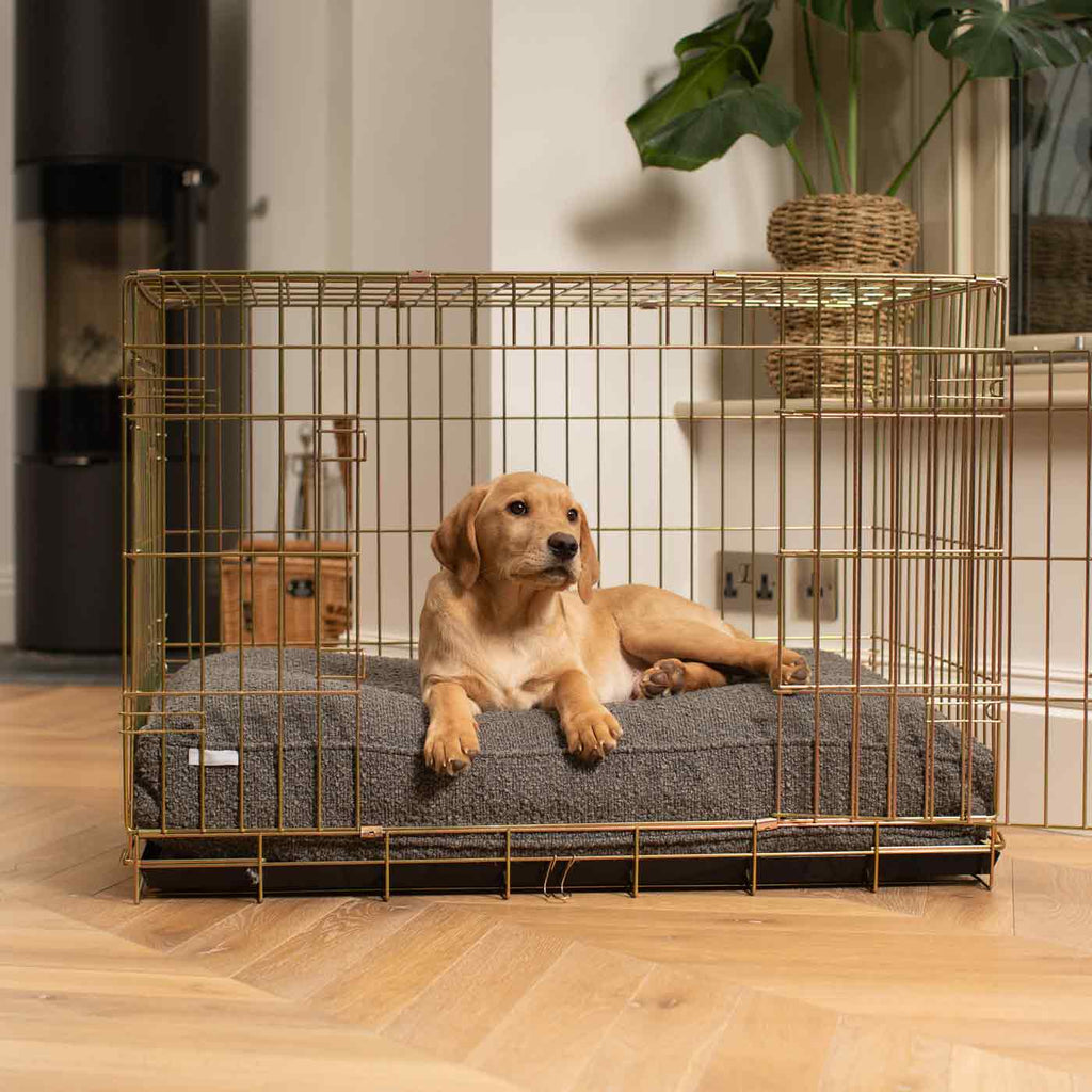 Dog Cushion in Granite Bouclé