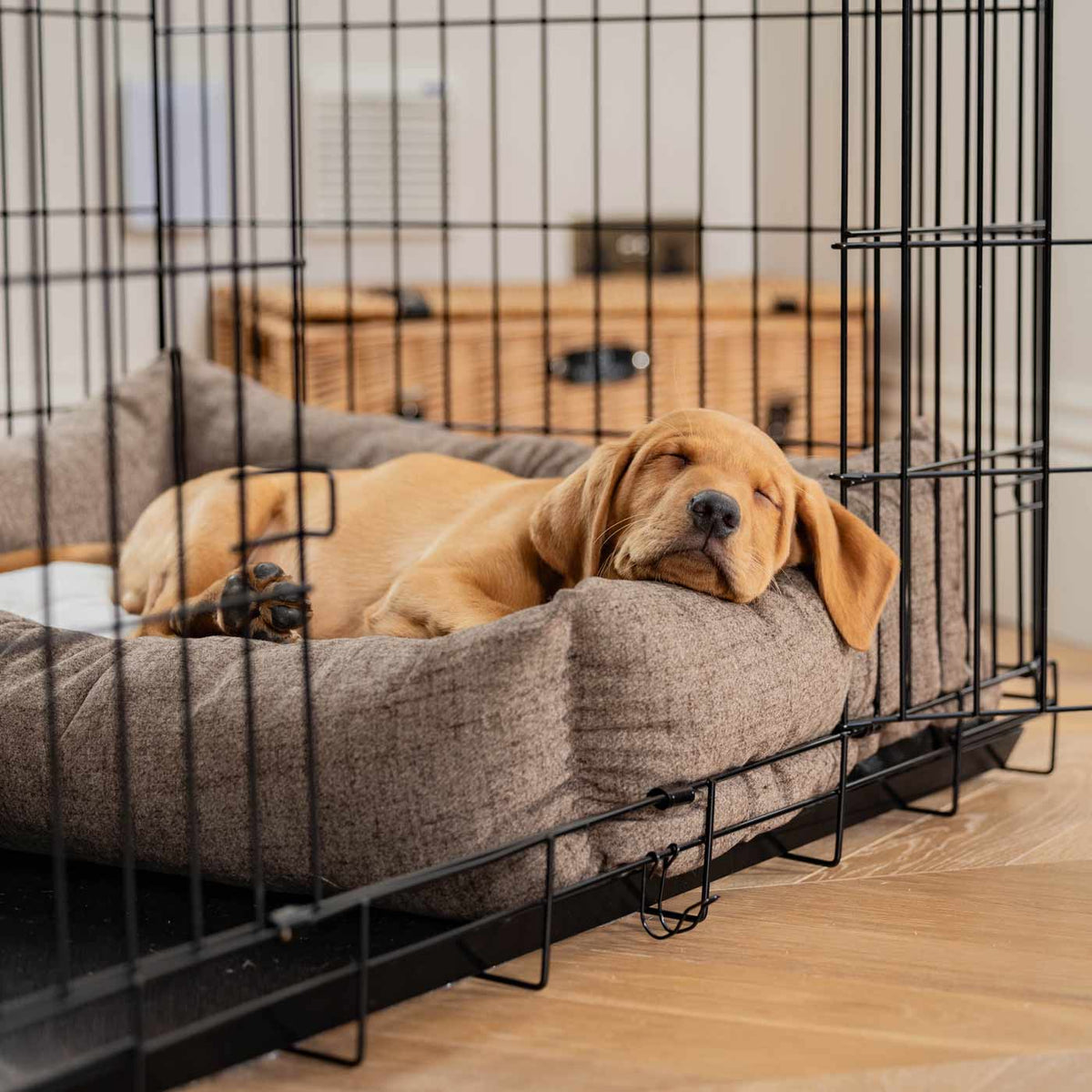 Cozy & Calming Puppy Cage Bed In Inchmurrin Umber Variant 2