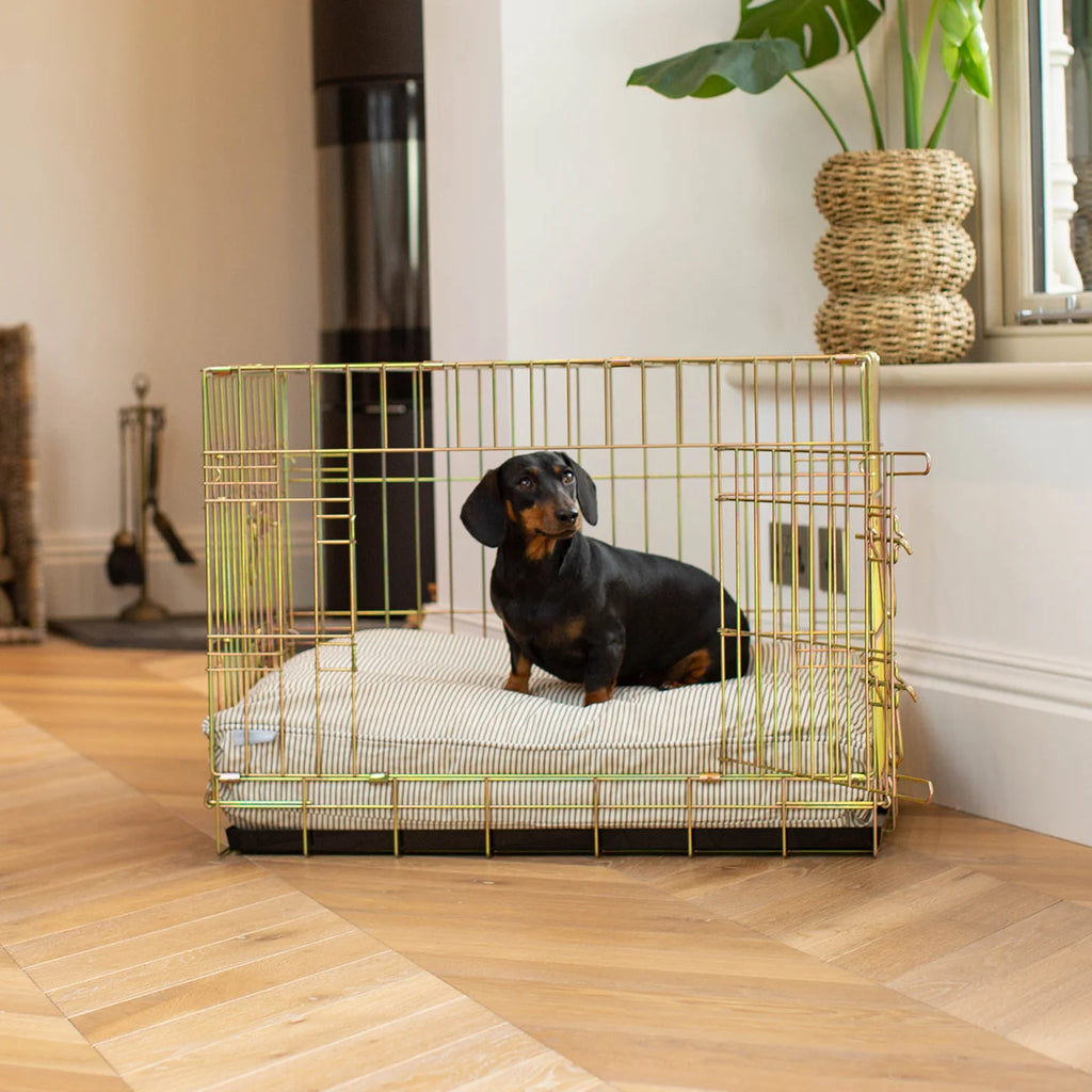 Dog Cushion in Regency Stripe
