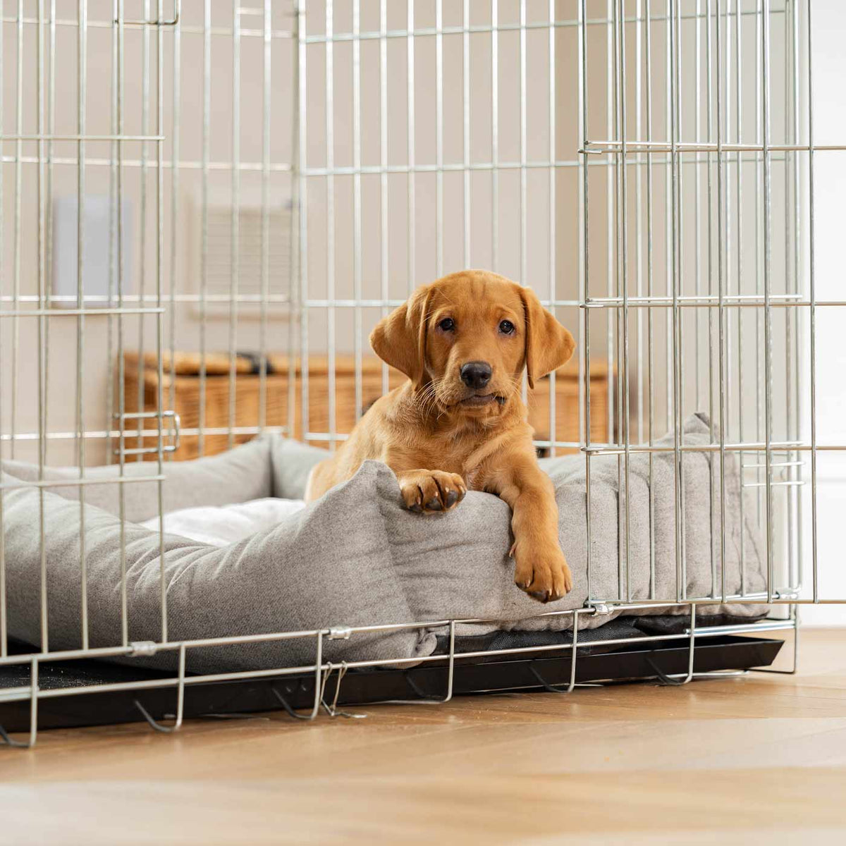 Cozy & Calming Puppy Cage Bed In Inchmurrin Ground