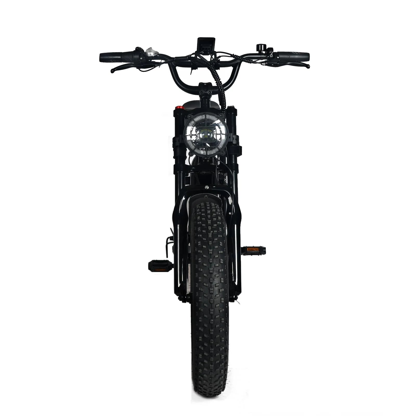 1000W Electric Mountain Bike for Adults with 20 x 4.0 Fat Tires, 48V 20Ah Removable Battery and 7-Speed