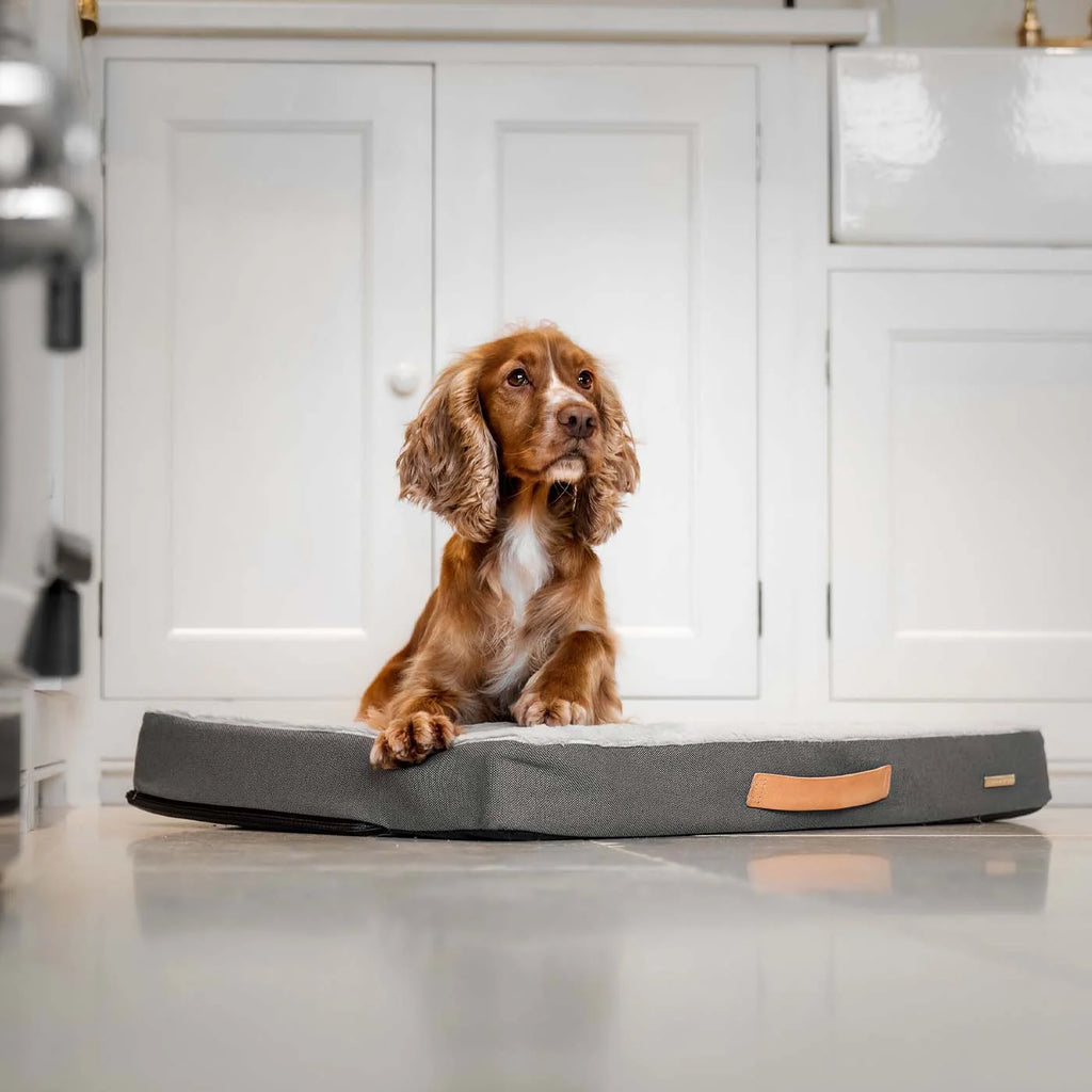 Orthopaedic Mattress in Slate