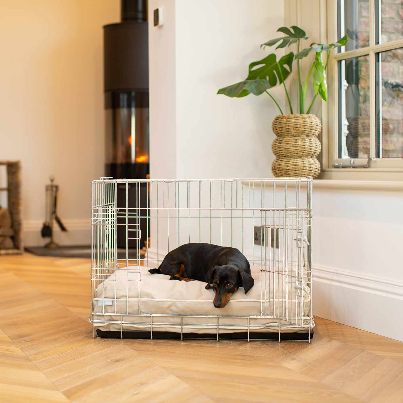 Dog Cushion in Savanna Oatmeal