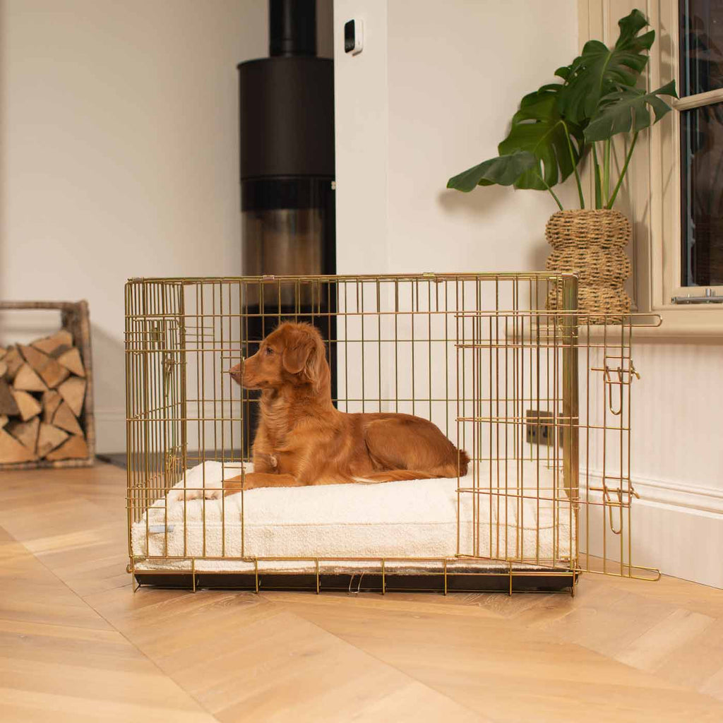 Dog Cushion in Ivory Bouclé