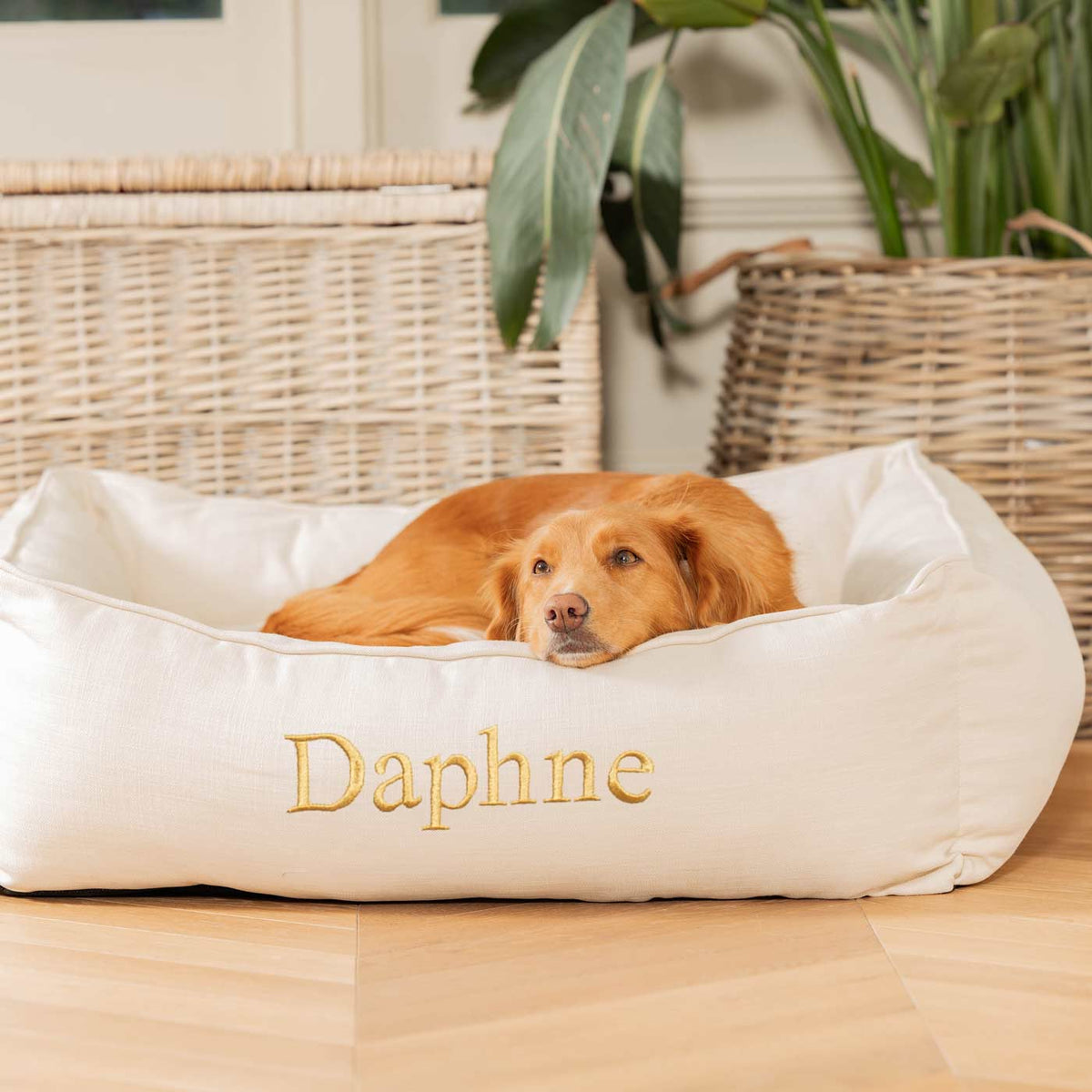 Box Bed For Dogs in Savanna