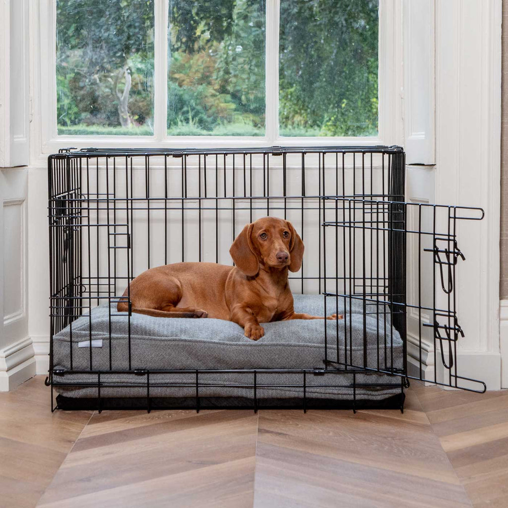 Dog Cushion in Pewter Herringbone Tweed