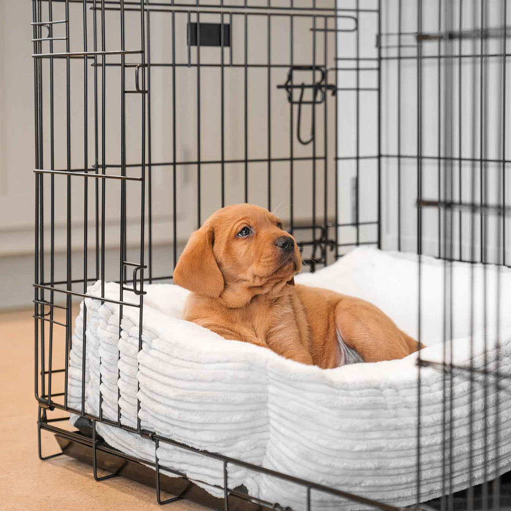 Cozy & Calming Puppy Cage Bed in Essentials Plush