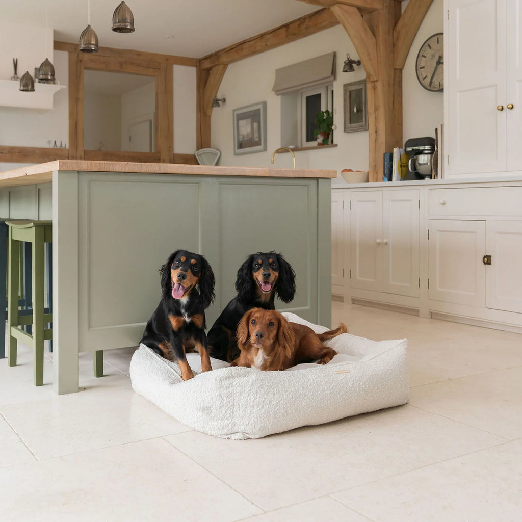 Box Bed For Dogs in Bouclé