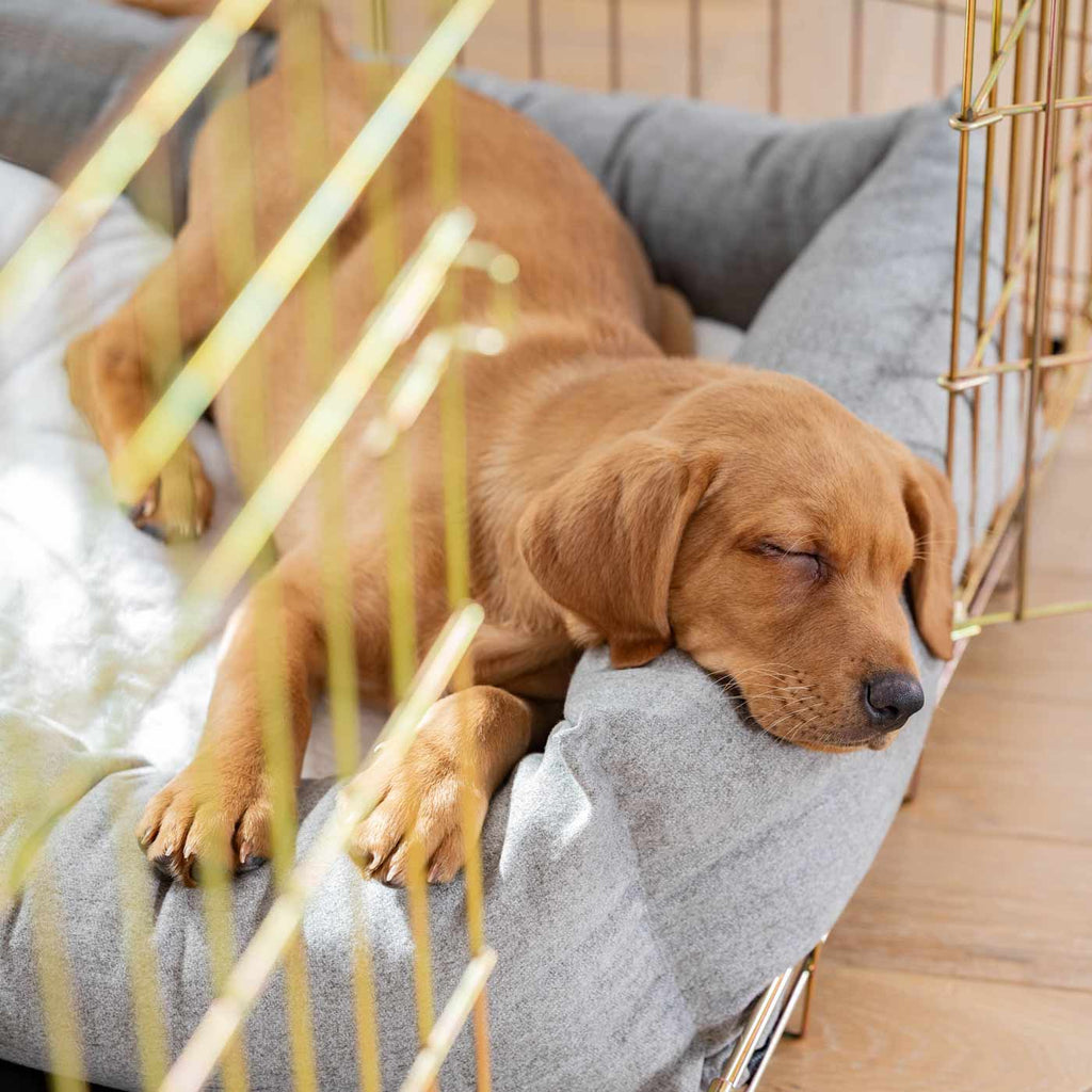Cozy & Calming Puppy Cage Bed In Inchmurrin Ground
