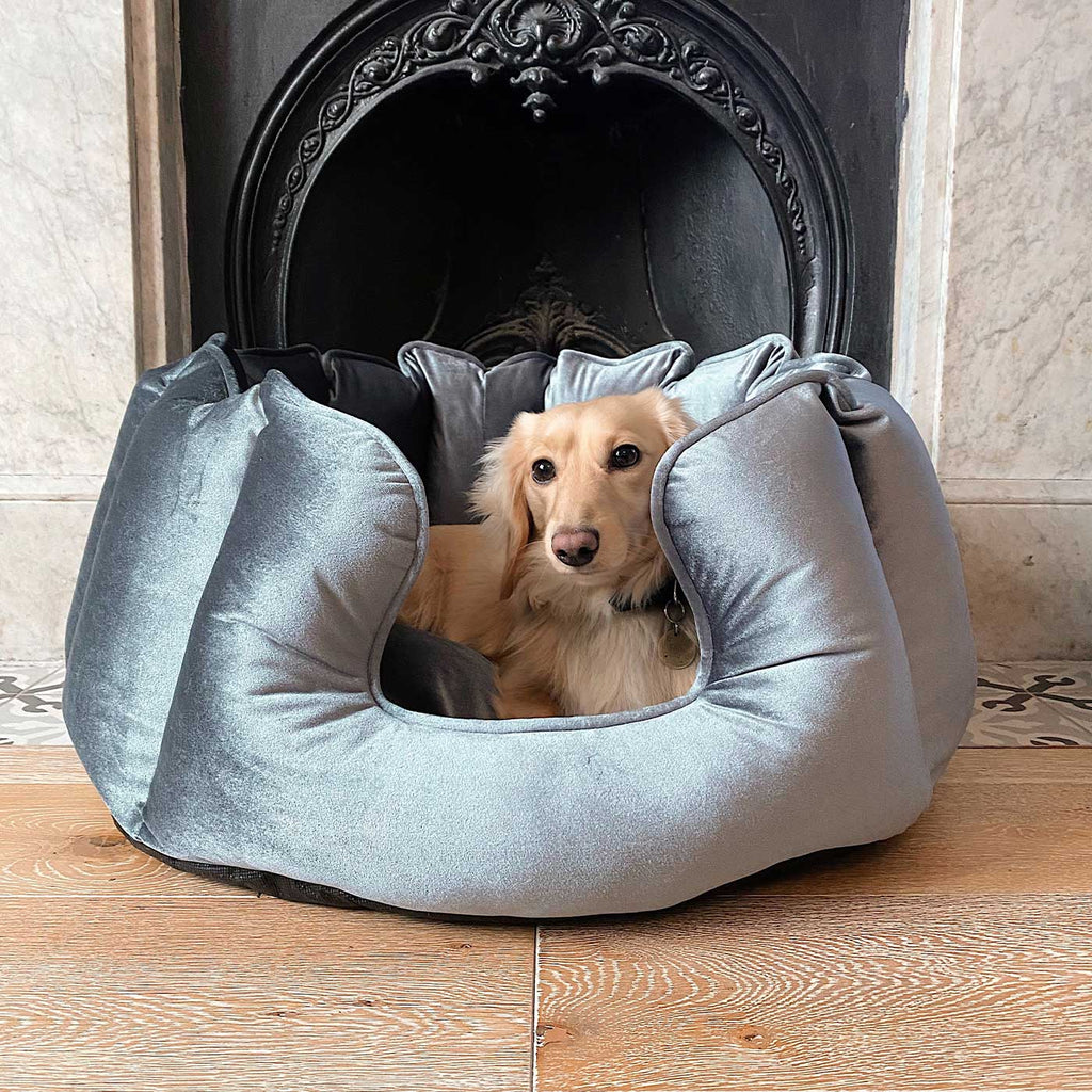 High Wall Bed For Dogs in Velvet