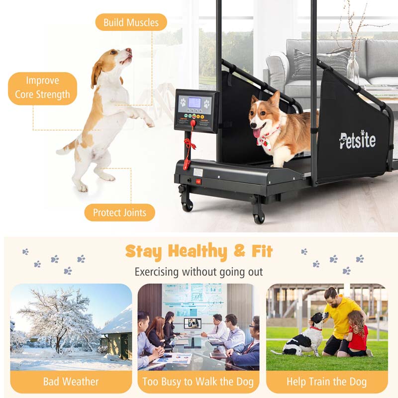 200 Lbs Dog Treadmill Pet Running Machine Indoor Pet Exercise Equipment With Remote Amp 14039039 Lcd Screen