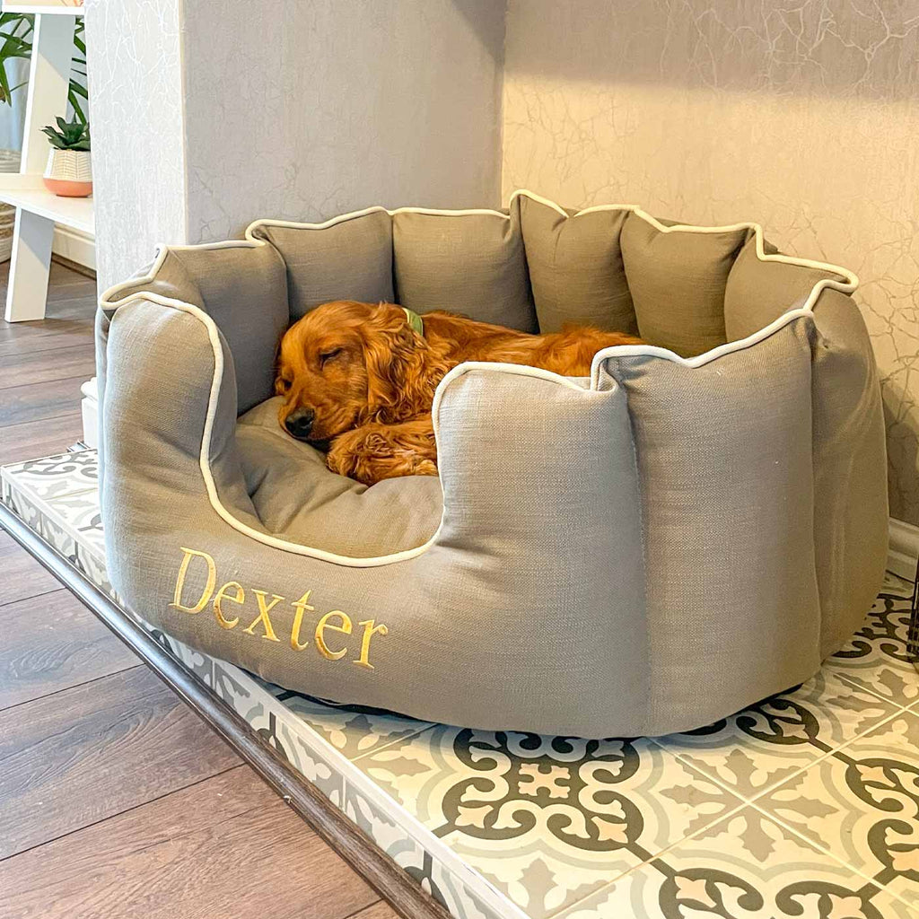 High Wall Bed For Dogs in Savanna