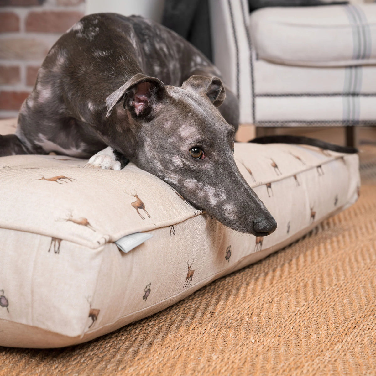 Dog Cushion in Woodland Stag