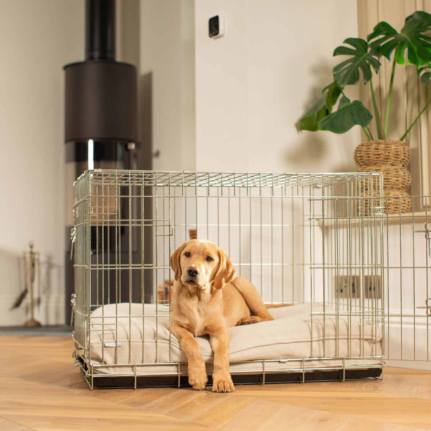 Dog Cushion in Natural Herringbone Tweed
