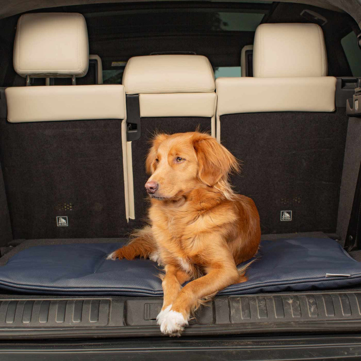 Travel Mat in Pacific Rhino Faux Leather