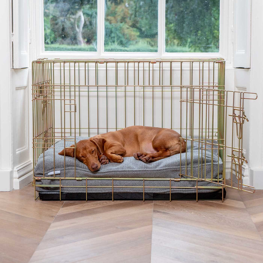 Dog Cushion in Pewter Herringbone Tweed