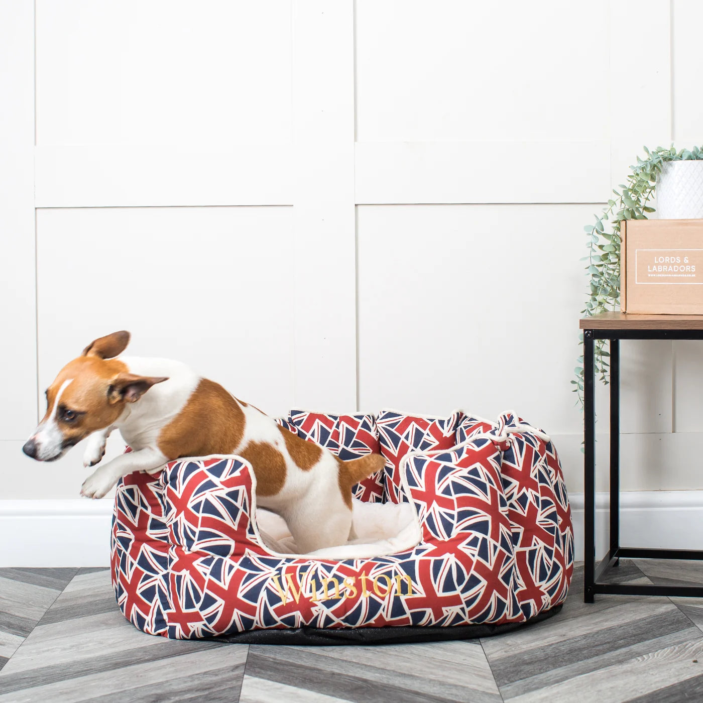 High Wall Bed For Dogs in Union Jack