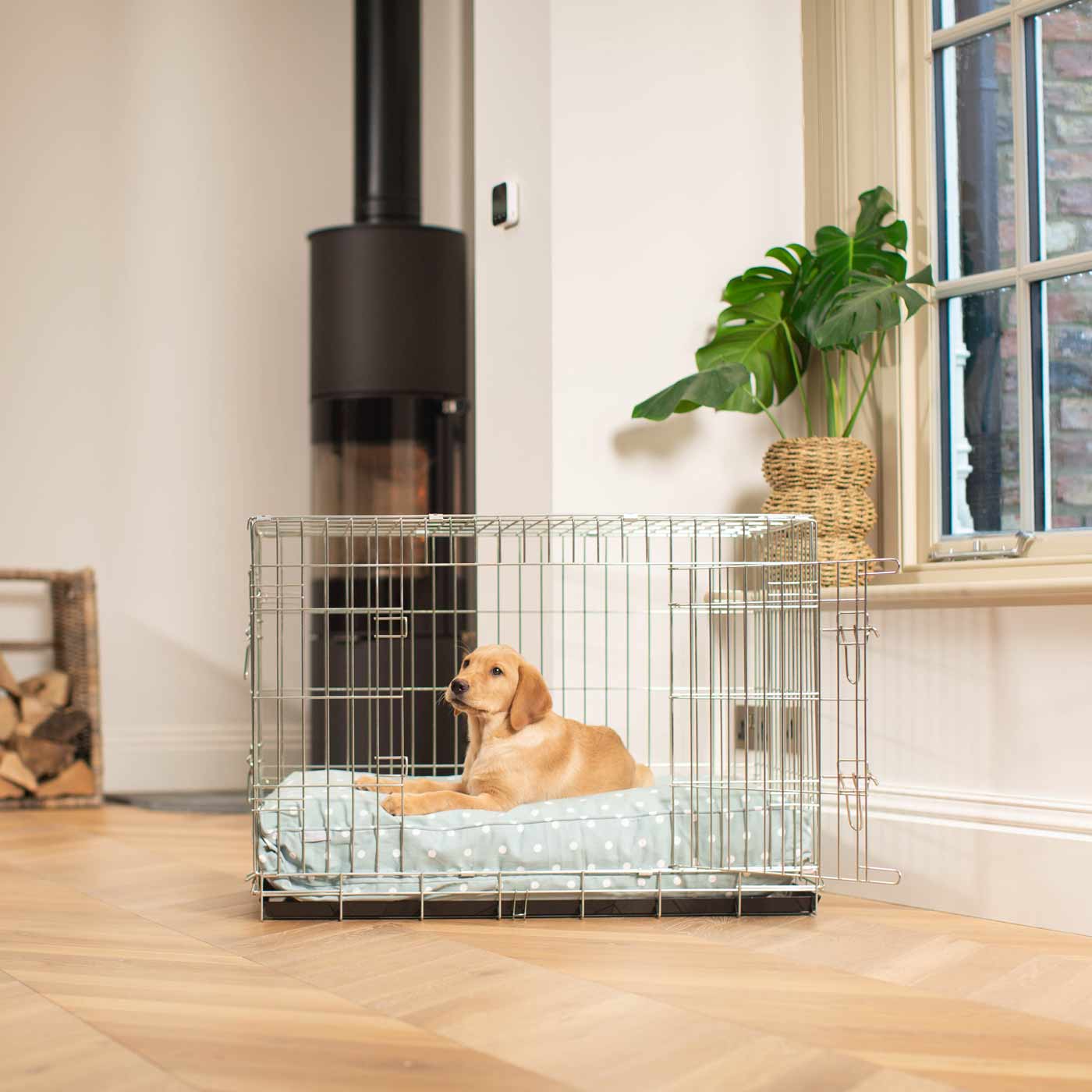 Dog Cushion in Duck Egg Spot