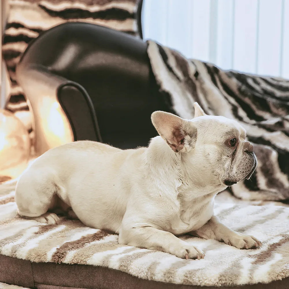 Washable Chenille Pet Bed Large Cushion Dog Bed