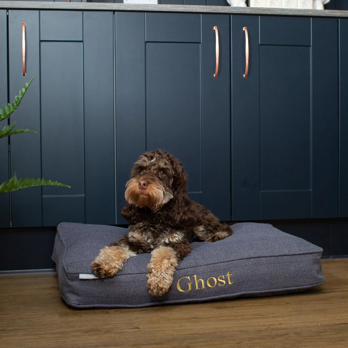 Dog Cushion in Oxford Herringbone Tweed