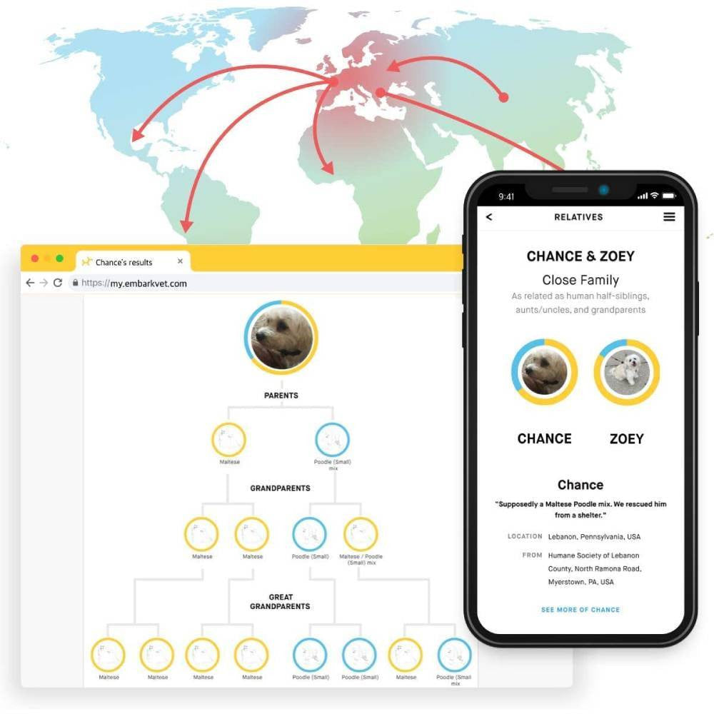 Dog DNA Test and Breed Identification Kit