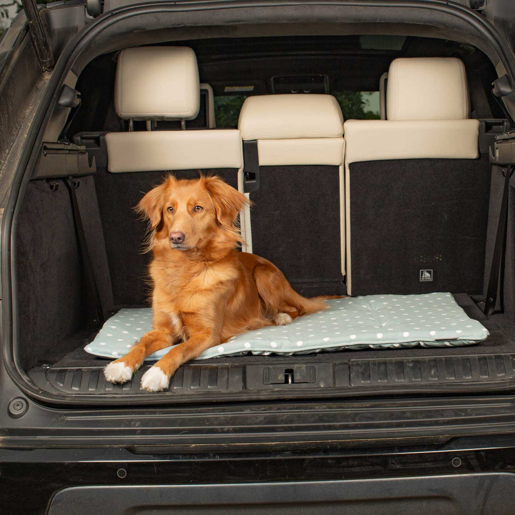 Travel Mat in Duck Egg Spot