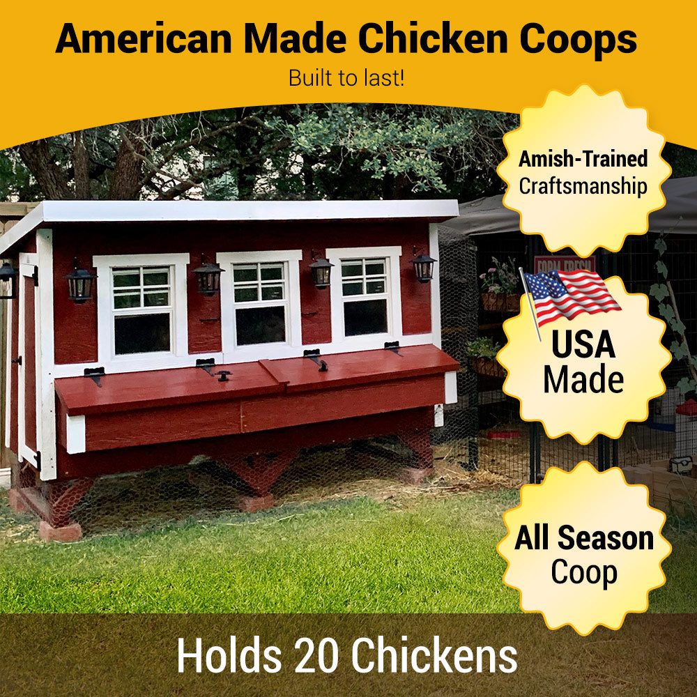 XL Chicken Coop for Up to 20 Chickens