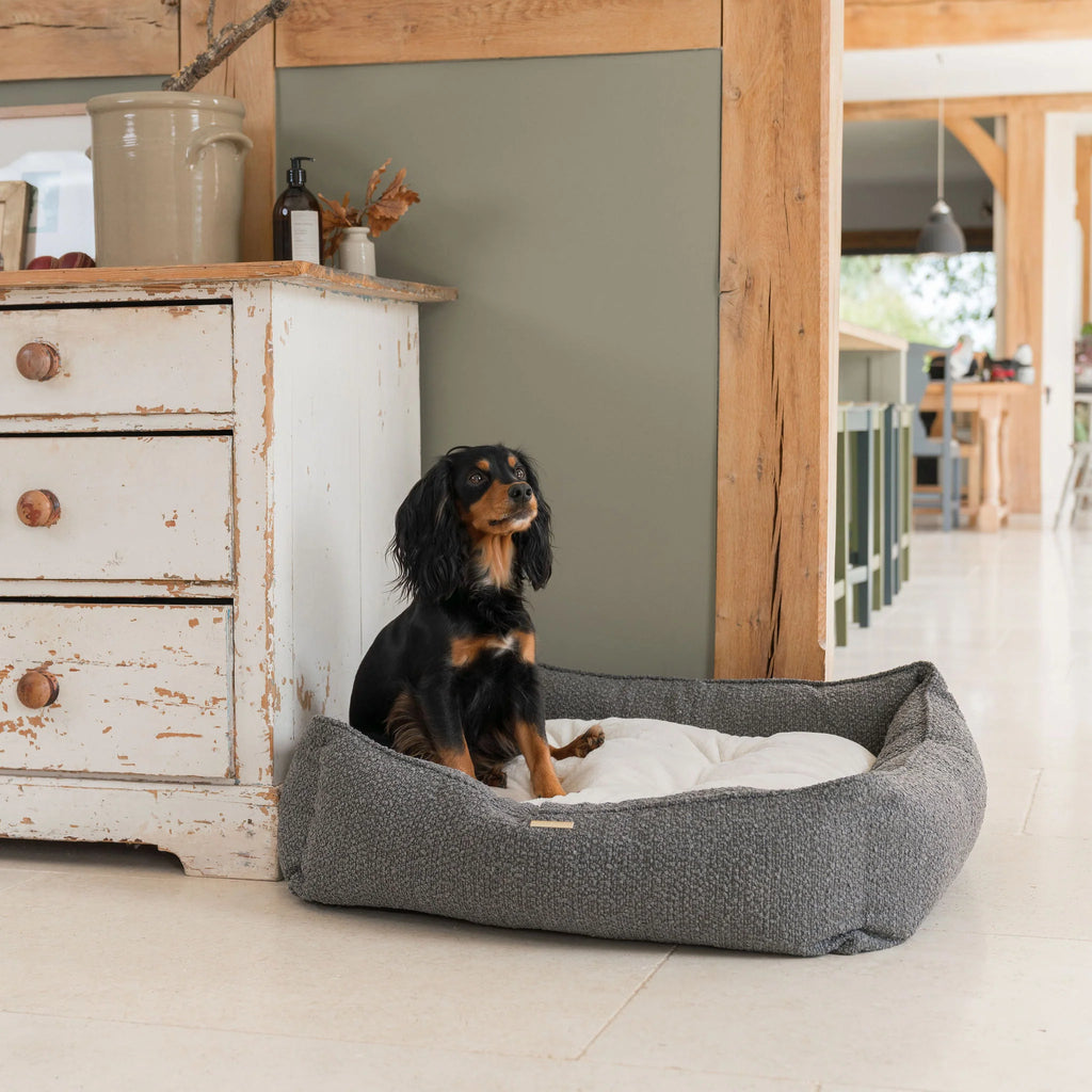 Box Bed For Dogs in Bouclé