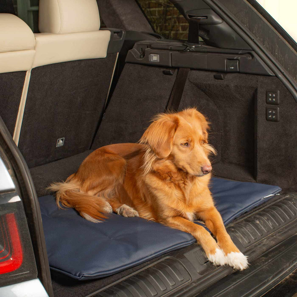 Travel Mat in Pacific Rhino Faux Leather