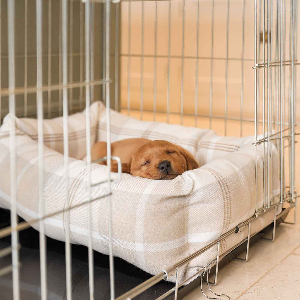 Cozy & Calming Puppy Cage Bed in Balmoral Tweed