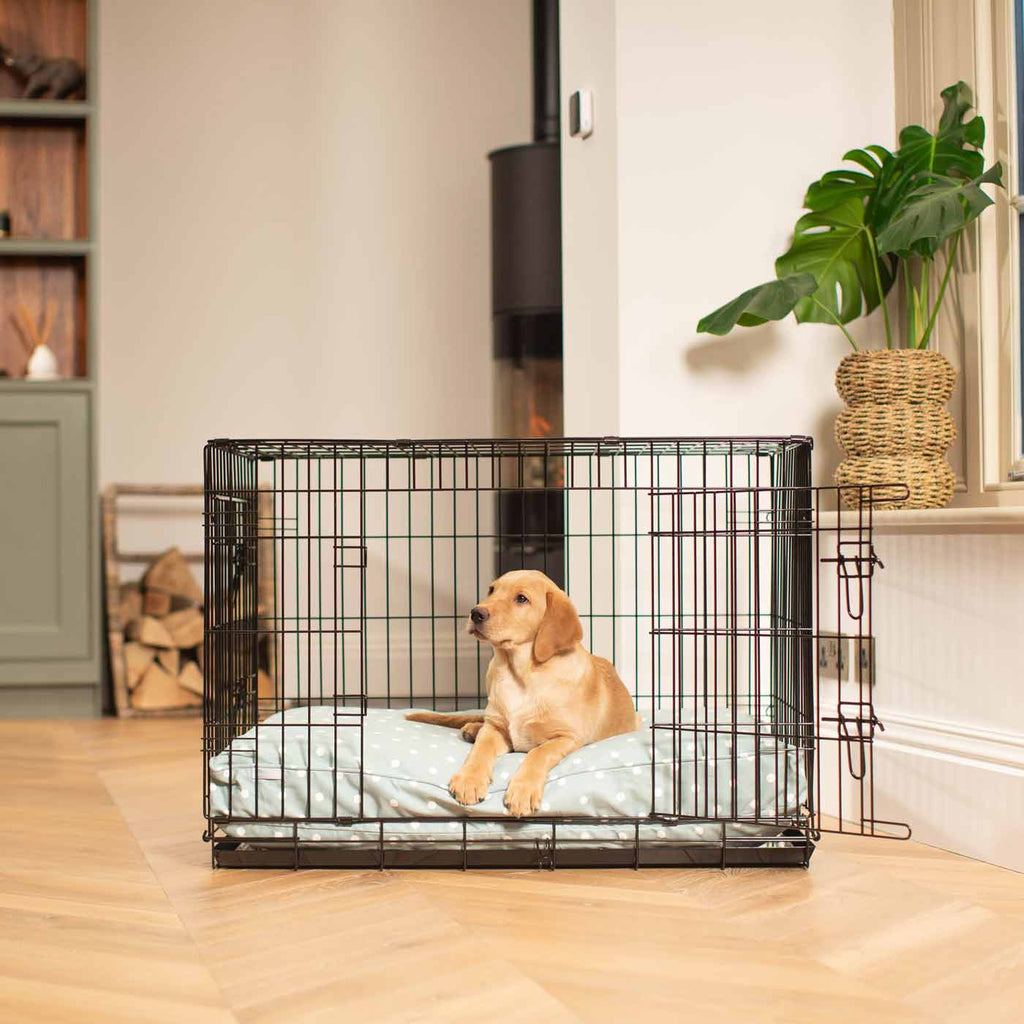 Dog Cushion in Duck Egg Spot