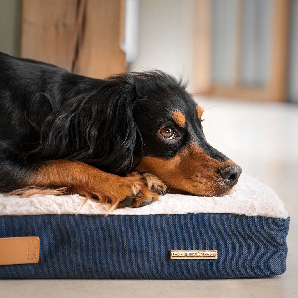 Orthopaedic Mattress in Denim