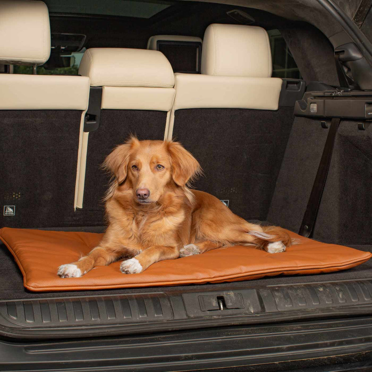 Travel Mat in Ember Rhino Faux Leather