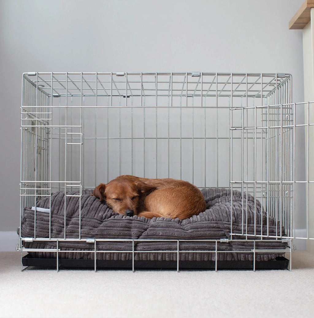 Dog Cushion in Dark Grey Essentials