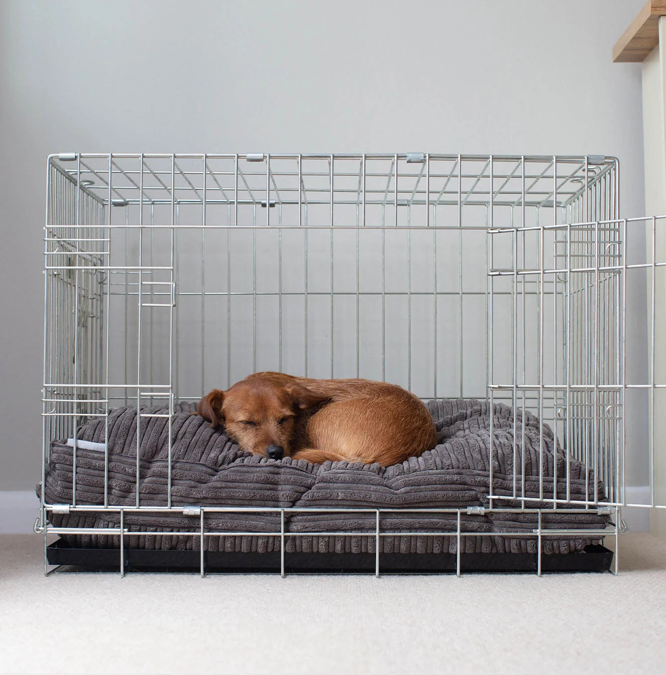 Dog Cushion in Dark Grey Essentials
